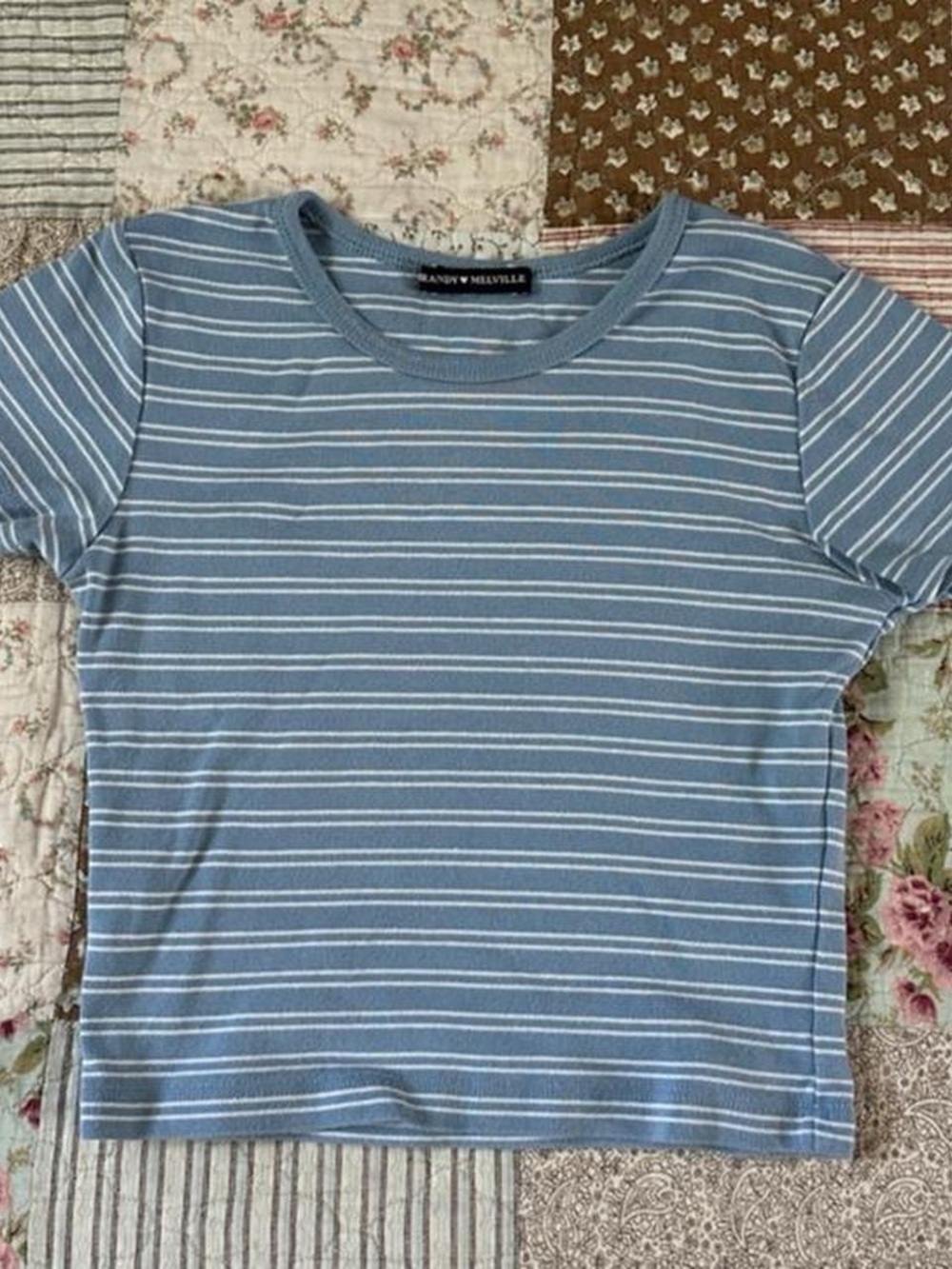 Brandy Melville blue and white striped short-sleeve crop top